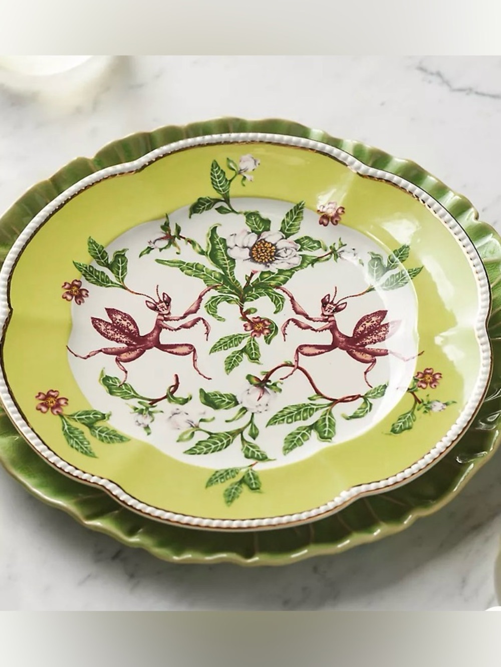 Adorable Anthropologie Lou Rota Mother Nature Mantis plate 10”